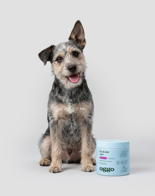 Fur & Skin Ergänzungsfuttermittel für Hunde für schönes Fell und gesunde Haut Oggo 180 g - 2