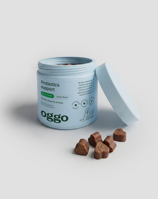 Probiotika für Hunde Ergänzungsfuttermittel für Verdauung und Immunsystem Oggo 180 g - 4
