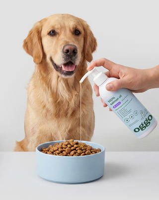 Lachsöl 100% Einzelfuttermittel für Hunde zur Stärkung der Abwehrkräfte und Energie Oggo 250 ml - 3