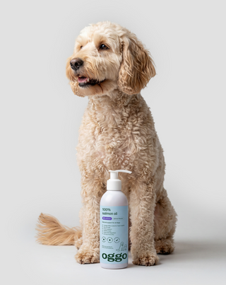 Lachsöl 100% Einzelfuttermittel für Hunde zur Stärkung der Abwehrkräfte und Energie Oggo 250 ml - 2