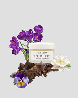 Straffende Gesichtscreme PRO COLLAGEN Ceramide & Peptide Biosoma - 2