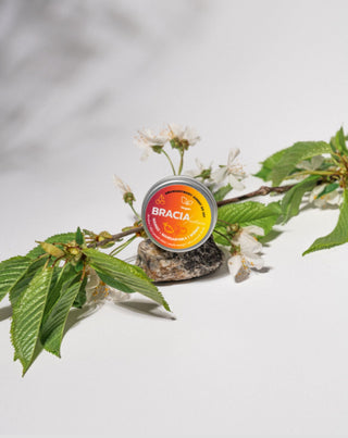 Fruchtiges Sorbet für trockene und rissige Lippen Kirsche, Mango und Mandarine Soap Brothers - 4