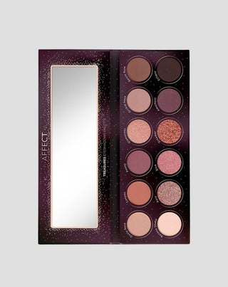 Schätze beeinflussen professionelle Kosmetik Palette von gepressten Lidschatten